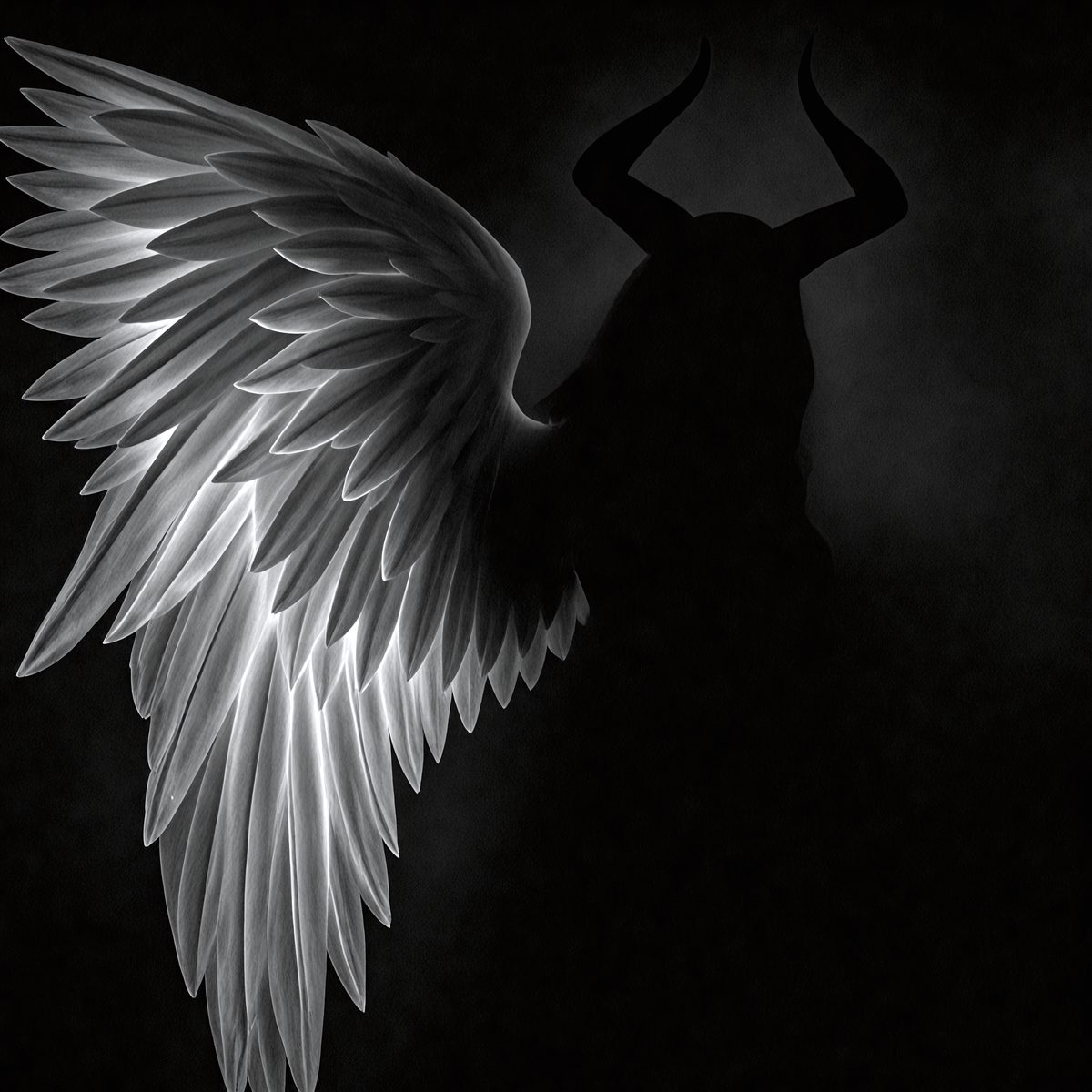 9240 - the-angel-and-the-shadow-a-luminous-angel-wing-contra_250708093148_00001.png